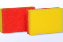 esponja, loiça, fungos, bactérias, doenças, estudo, 