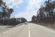 Pedrógão, Nodeirinho, EN236-1, , Daniel Vidassi, Guilhermina Rosa, Figueira, Pobrais, acidentes e desastres, incêndio, fogo, tragédia