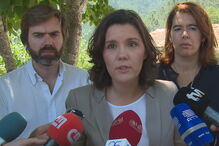 Assunção Cristas, pedrógão grande, visita, cds-pp, partido, incêndios, pedido, demissão