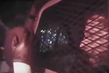 Vídeo da detenção de Shia LaBeouf revelado