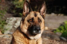 2017-07-12_23_50.06 510802099.jpg