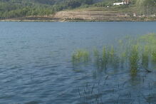 Marco de Canaveses, Crocodilo, Marco de Canavezes, questões sociais