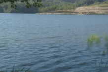 Marco de Canaveses, Crocodilo, Marco de Canavezes, questões sociais