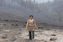 Fogo, pedrógão grande, aldeias, estrada, floresta, incêndio, tragédia