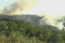 Incêndio em Vale de Asnes, Mirandela, distrito de Bragança