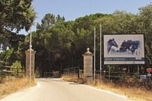 PJ, Mata do Duque, Benavente, Judiciária, ADN, advogado, João Álvaro Dias, Natal, Justiça, Portugal, Instituto de Medicina Legal, crime, lei e justiça, questões sociais