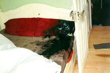 Vítima de ácido, Inglaterra, Daniel Rotariu