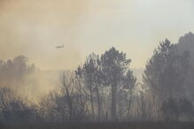 Incêndio em Alijó