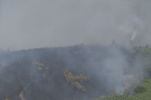 Cavalinho, Oleiros, Internet da Proteção Civil, Castelo Branco, Sertã, acidentes e desastres, salvamento / busca