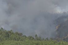 Cavalinho, Oleiros, Internet da Proteção Civil, Castelo Branco, Sertã, acidentes e desastres, salvamento / busca