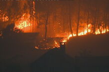 ANPC, Viseu, Mangualde, CDOS, Santiago de Cassurrães, Lusa, Proteção Civil, Abrunhosa-a-Velha, Póvoa de Cervães, Comando Distrital de Operações de Socorro, Abrunhosa do Mato, Cunha Baixa, Autoridade Nacional de Proteção Civil, acidentes e desastres, incêndios