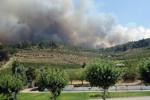 2017-07-18_16_18.40 INCENDIO-001.jpg