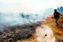 Populares ajudaram os bombeiros a combater as chamas descontroladas   