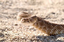 2017-07-19_14_30.52 95691342.jpg