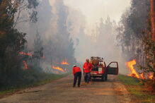 Incêndio em Santa Comba Dão
