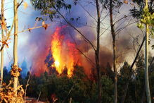 Incêndio em Santa Comba Dão