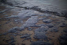 Kingston, Agência de Planeamento e Meio Ambiente da Jamaica, Companhia Estatal de Petróleo da Jamaica, Petrojam, Nepa, acidentes e desastres, economia, negócios e finanças, energia, petróleo e gás (extração)