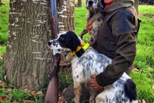 2017-07-21_11_52.26 caçadora 4.PNG