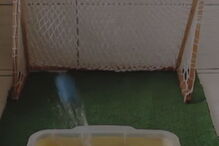 Peixe-gato usa a cauda para acertar na bola