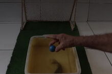 Peixe-gato usa a cauda para acertar na bola