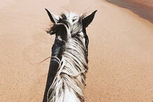 Alentejo, Lisboa, Portugal, Madonna, Comporta, rainha, Universo, Yoga Shala, David Banda, Stella, Esther, artes, cultura e entretenimento, fotografia