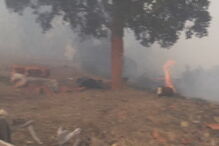 Sertã, Várzea dos Cavaleiros, Castelo Branco, Mosteiro de São Tiago, Proteção Civil, Autoridade Nacional de Proteção Civil, ANPC, Lisboa, meteorologia