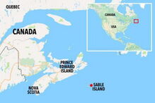 Mulher, Ilha de Sable