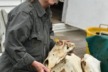 Mulher, Ilha de Sable