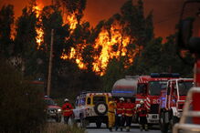 Fogo de Mação não deu tréguas aos bombeiros durante quatro dias