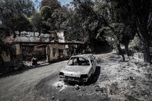 Mação, cinzas, incêndio