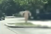 Alexander Sperber, de 25 anos andou a distribuir o dinheiro que roubou num banco nas ruas, todo nu