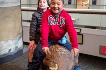 Angaria dinheiro para comprar cadeira de rodas ao melhor amigo