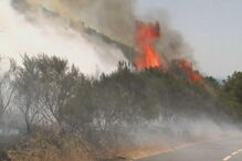 Incêndio em Celorico da Beira