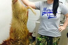 Mulher desiste de supermercados e começa a caçar a própria comida