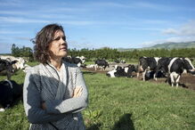 Assunção Cristas escolhe Algarve para férias