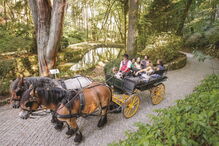 Passeios de charrete no Parque da Pena, em Sintra
