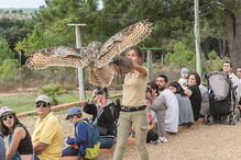Safari pelo mundo selvagem no Alentejo, no Badoca Safari Park
