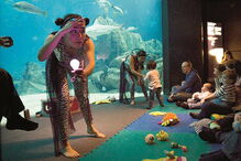 Ver peixes e ouvir música