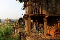 Algumas comunidades nepalesas continuam a fazer este ritual