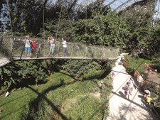 Rede de pontes suspensas começa no aviário e percorre todo o Pairi Daiza