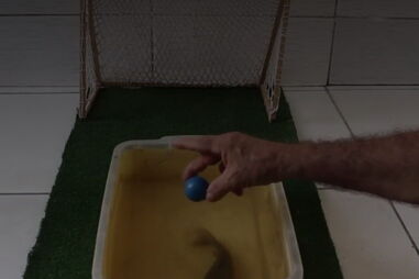 Peixe-gato usa a cauda para acertar na bola