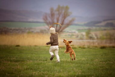 Criança brinca com cão