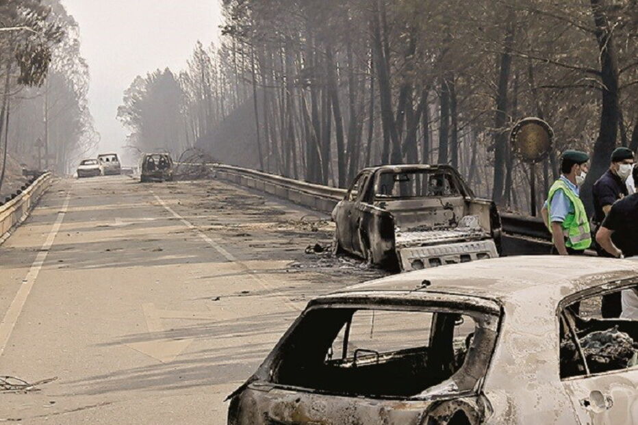 Fogos causam 500 milhões em prejuízos