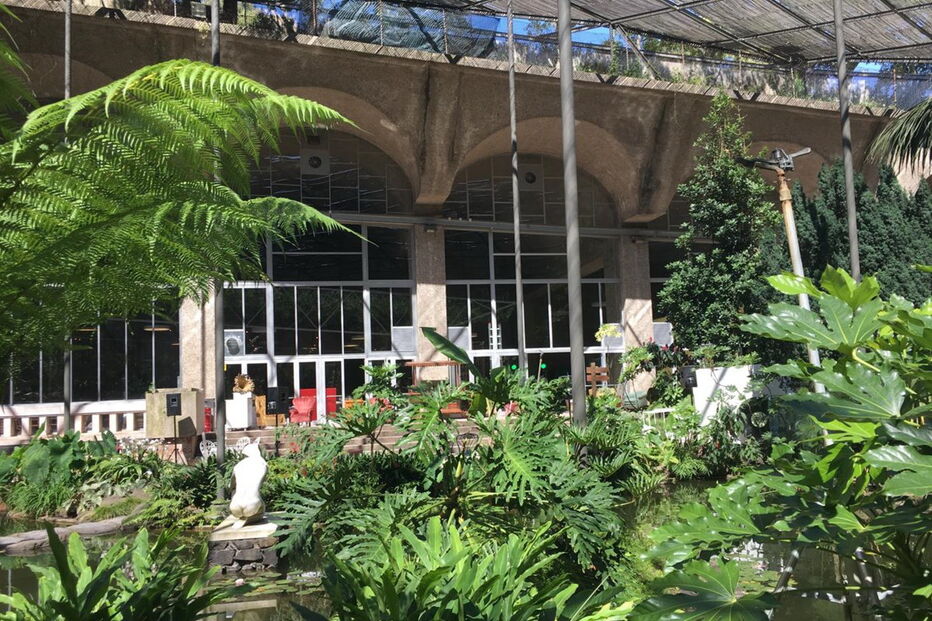 Imagens da Estufa Fria, onde decorre o copo de água de Bruno de Carvalho e Joana Ornelas