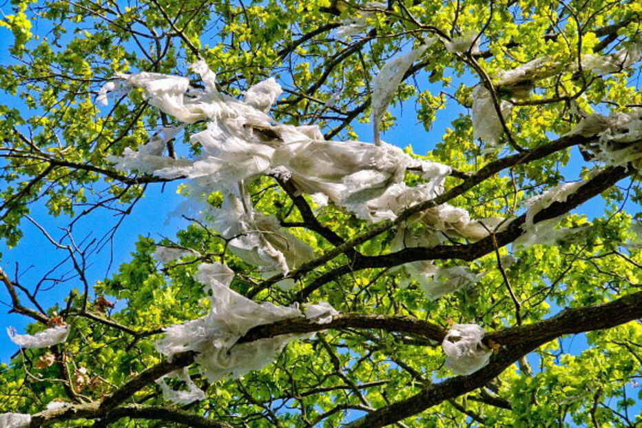 Francisco Ferreira, Zero, Associação Sistema Terrestre Sustentável, Europa, Dia Internacional Sem Sacos de Plástico, Associação Portuguesa de Empresas de Distribuição, APED, Economia Circular da União Europeia, Plano de Ação, questões sociais