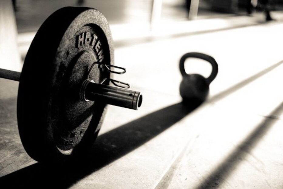 Halteres de musculação