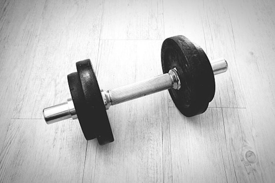 Halteres de musculação
