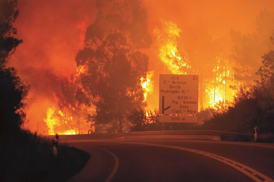 incêndios, fogo, floresta, destruição