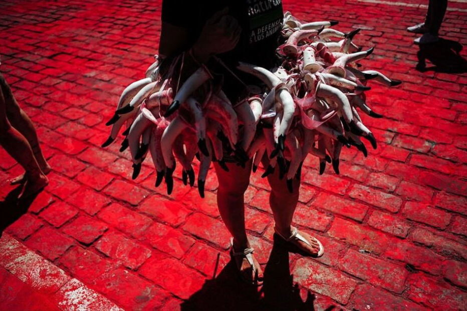 Manifestação contra tauromaquia 