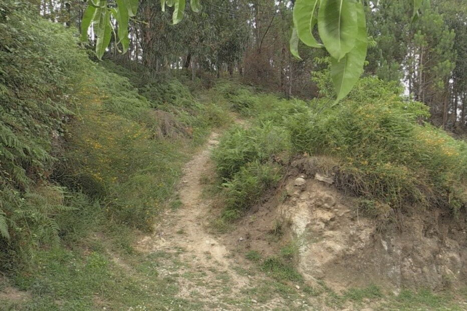 Homicida deixou uma carta antes de se suicidar, em Penafiel